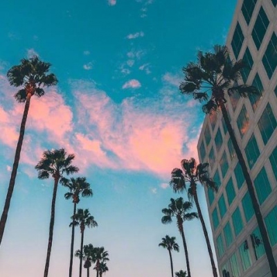 帅的诱惑
